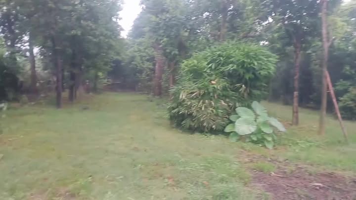 Đất vườn Hòa Phú, Quốc Oai 8700m² giá 6xx triệu - Cơ hội đầu tư tuyệt vời!