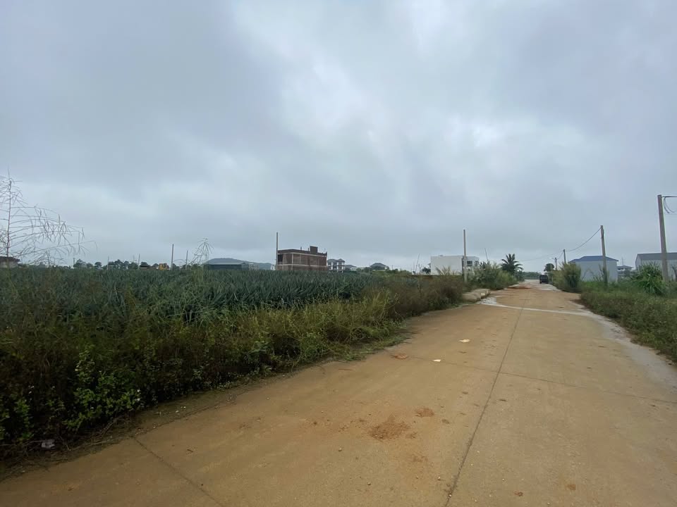 Đất nền giá đầu tư tại Đại Lộ Đông Tây, Tam Điệp - 133m², pháp lý rõ ràng!