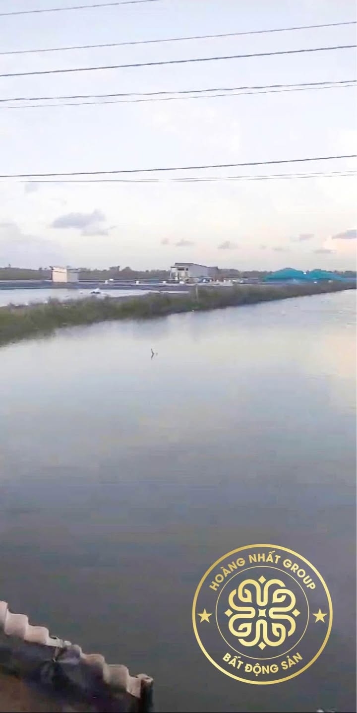 Đất vườn và thổ cư 16.104m² tại xã Hiệp Tùng, Cà Mau giá 1.5 tỷ - Đầu tư sinh lời ngay!