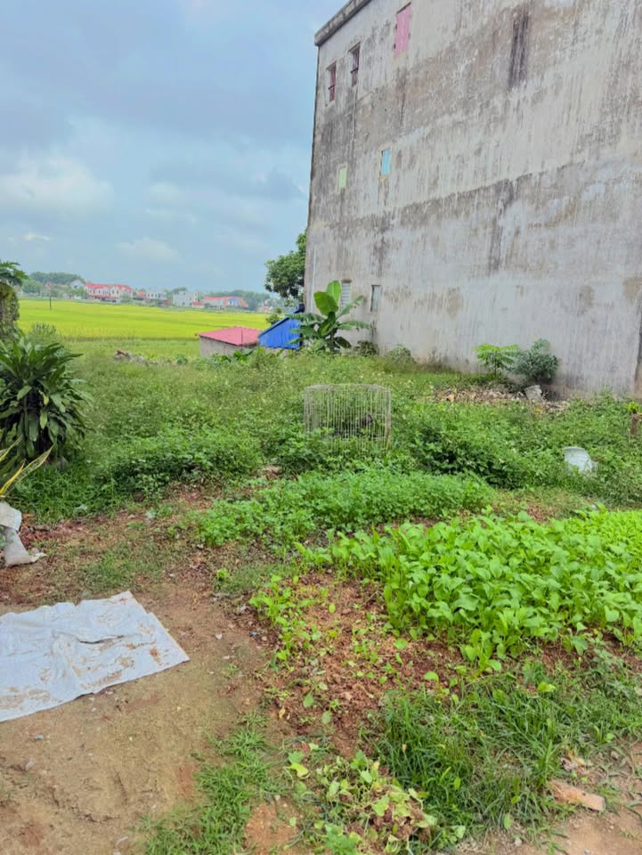 Lô đất vàng Lương Phú, Phú Bình 100m² - Sổ đẹp, vị trí đắc địa!