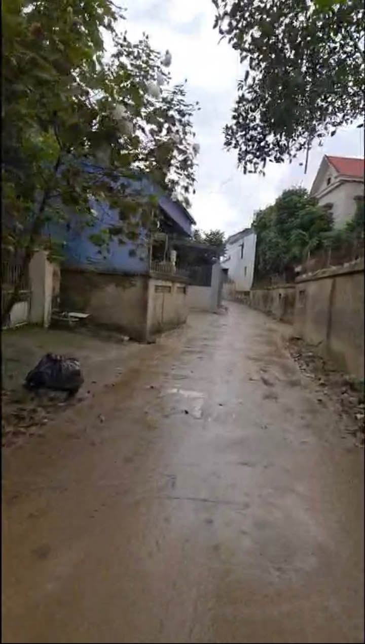 Đất nền đẹp Phường Chùa Hang, Thái Nguyên 311m² giá 5.598 tỷ - Vị trí đắc địa gần DANKO!