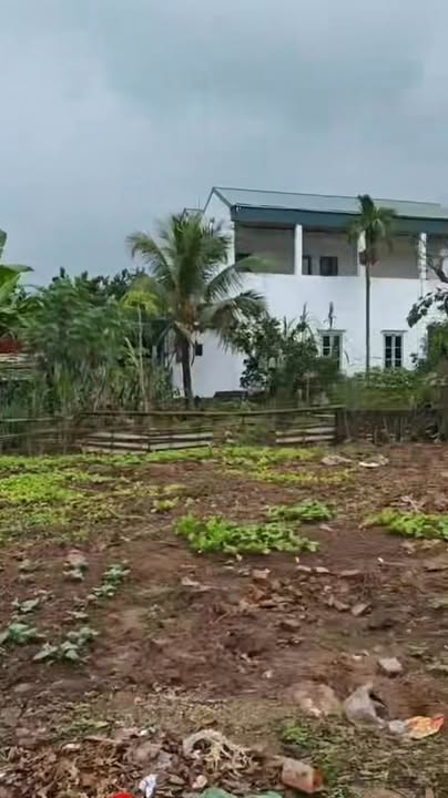 Đất nền Đức Thắng, Tiên Lữ 250m² giá 1.4 tỷ - Đường ô tô vào tận đất!