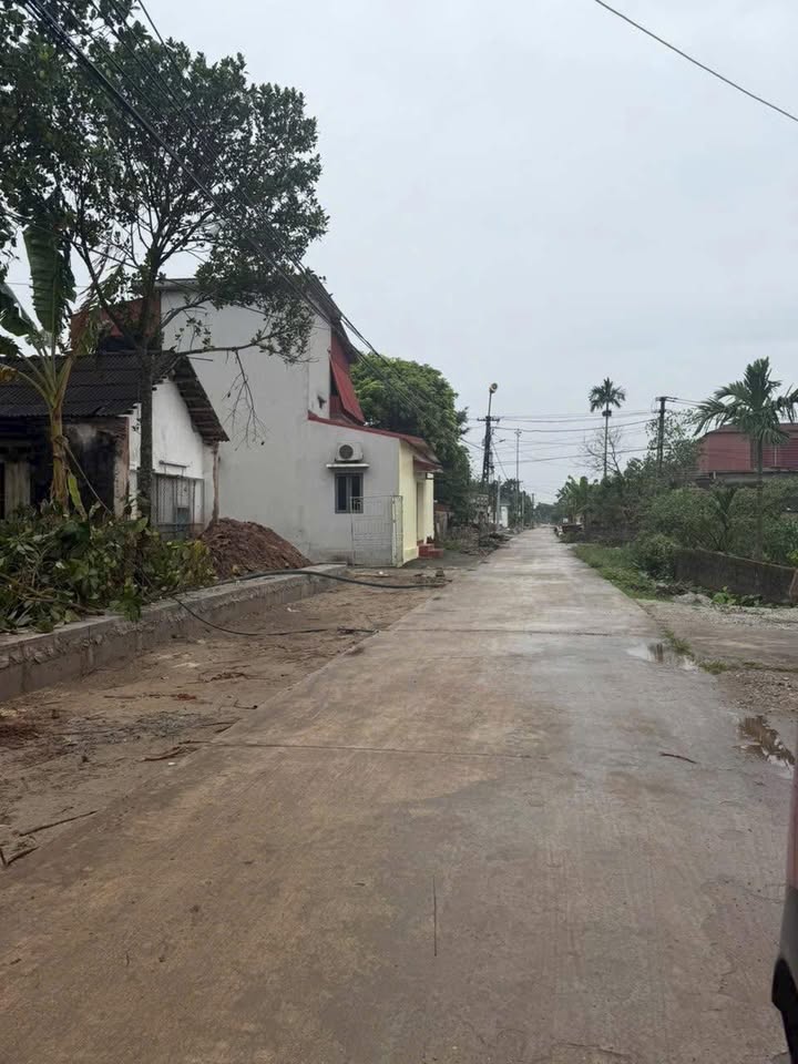 Đất nền Tống Trân Phù Cừ 135m² giá 1.4 tỷ - Cơ hội đầu tư tuyệt vời!