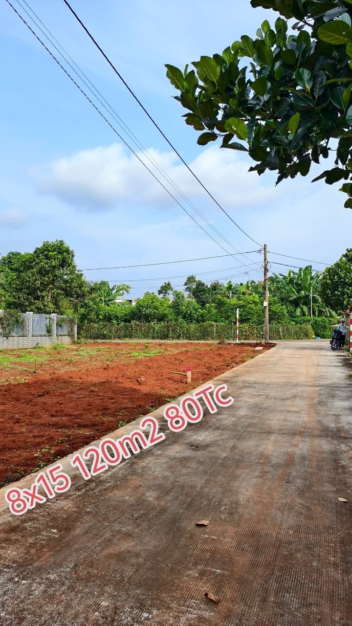 Đất nền Suối Nghệ, Châu Đức 120m² giá 780 triệu - Sổ đỏ chính chủ