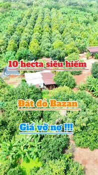 Farm 10 hecta tại Túc Trưng, Định Quán, Đồng Nai giá 35 tỷ - Đầu tư sinh lời ngay!