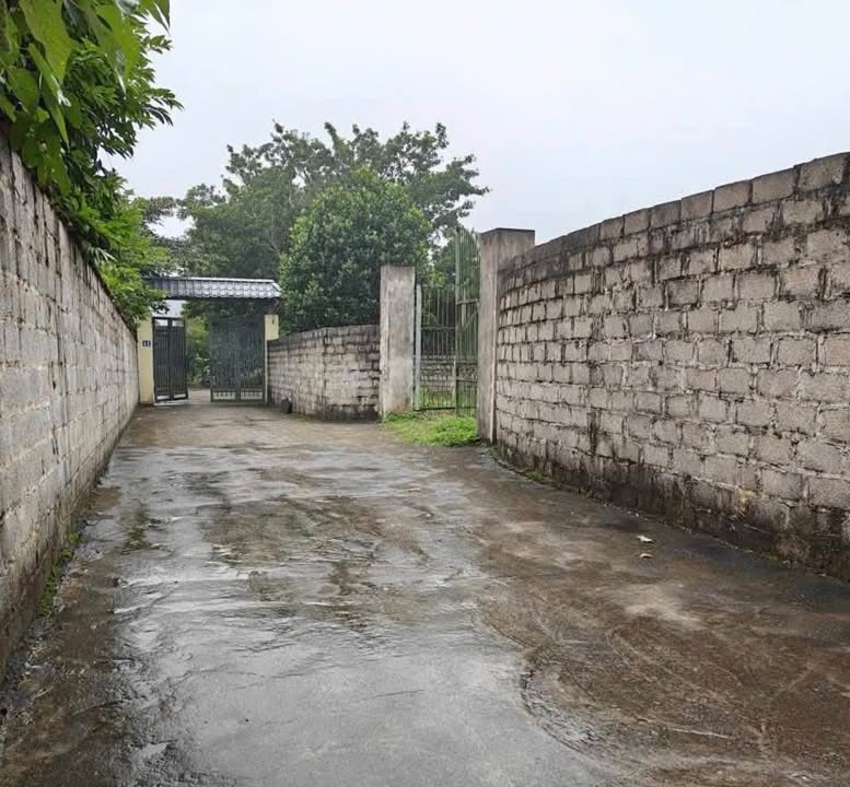 Đất nền Suối Hai, Ba Vì 1008m² giá 6.048 tỷ - Sổ đỏ chính chủ, đầu tư sinh lời!