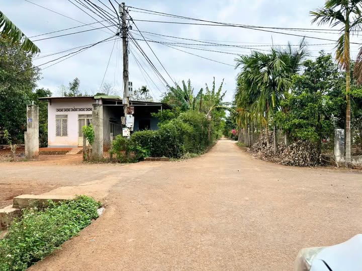 Nhà phố hẻm Nguyễn Xuân Nguyên, Buôn Ma Thuột 250m² giá chỉ 1.95 tỷ - Cơ hội đầu tư tốt!