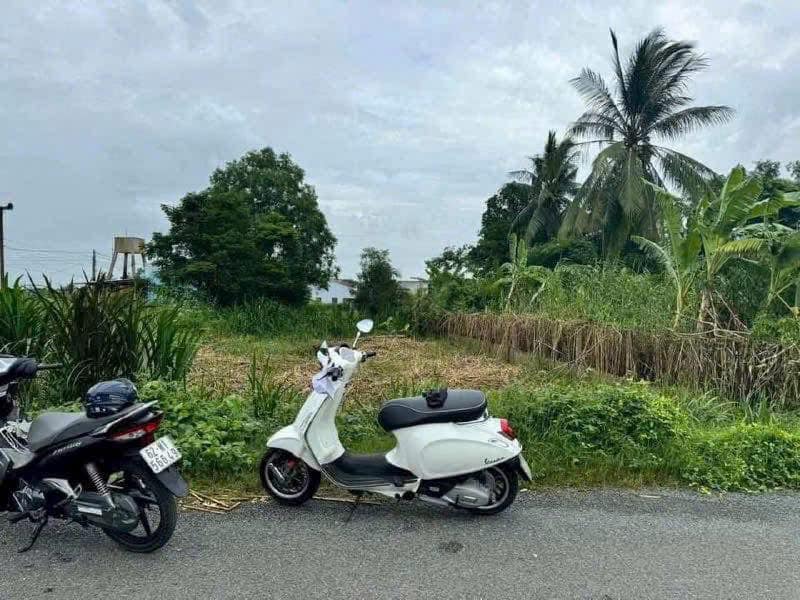 Đất thổ cư mặt tiền Nguyễn T Lầu, Mỹ Thạnh, Tân Trụ 140m² giá chỉ 739 triệu - Cơ hội đầu tư hấp dẫn!