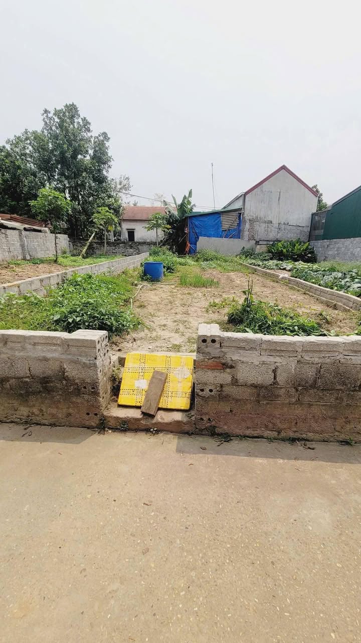 Đất nền Thư Phú, Thường Tín 51.5m² - Tiện ích đầy đủ, ô tô đỗ cửa!