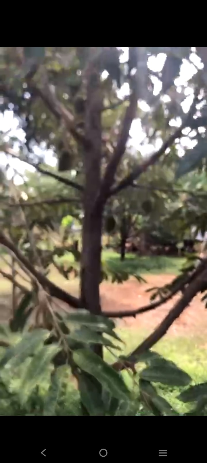 Đất nền Bù Đăng 2000m² - Đường nhựa, cơ hội đầu tư sinh lời!