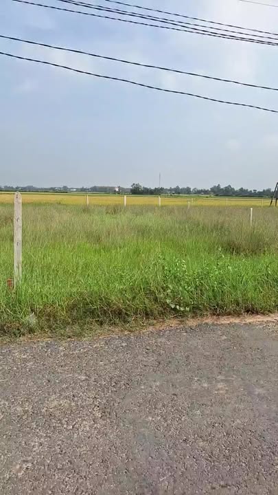 Đất thổ cư Long Thuận Bến Cầu 205m² giá 390 triệu - Cơ hội đầu tư tuyệt vời!