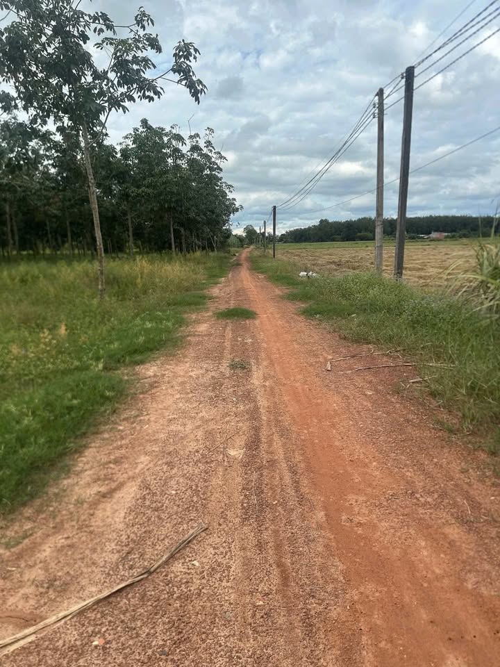 Đất nền ấp Nam Bến Sỏi, xã Thành Long, 1000m² - Giá thỏa thuận hấp dẫn!