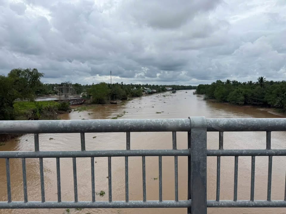 Đất mặt tiền sông Trường Thịnh, Thạnh Ngãi, Mỏ Cày Bắc 3000m² - Đầu tư sinh lời tuyệt vời!