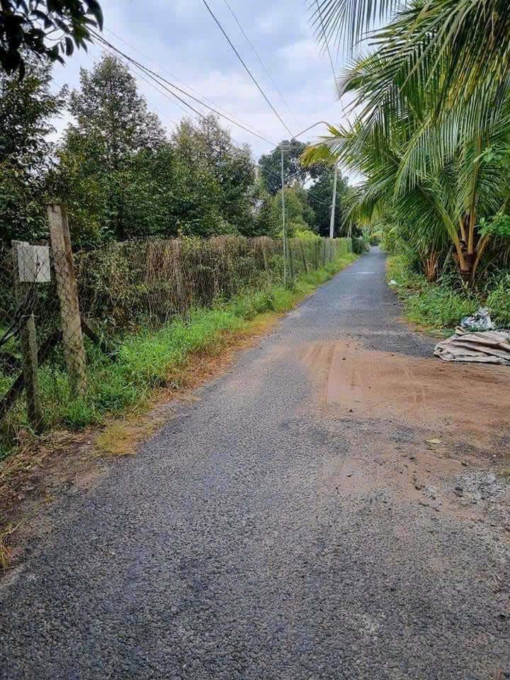 Đất nền 5x58m mặt tiền đường nhựa Bờ Cái, Cai Lậy - Chỉ 1 tỷ, thương lượng chính chủ!