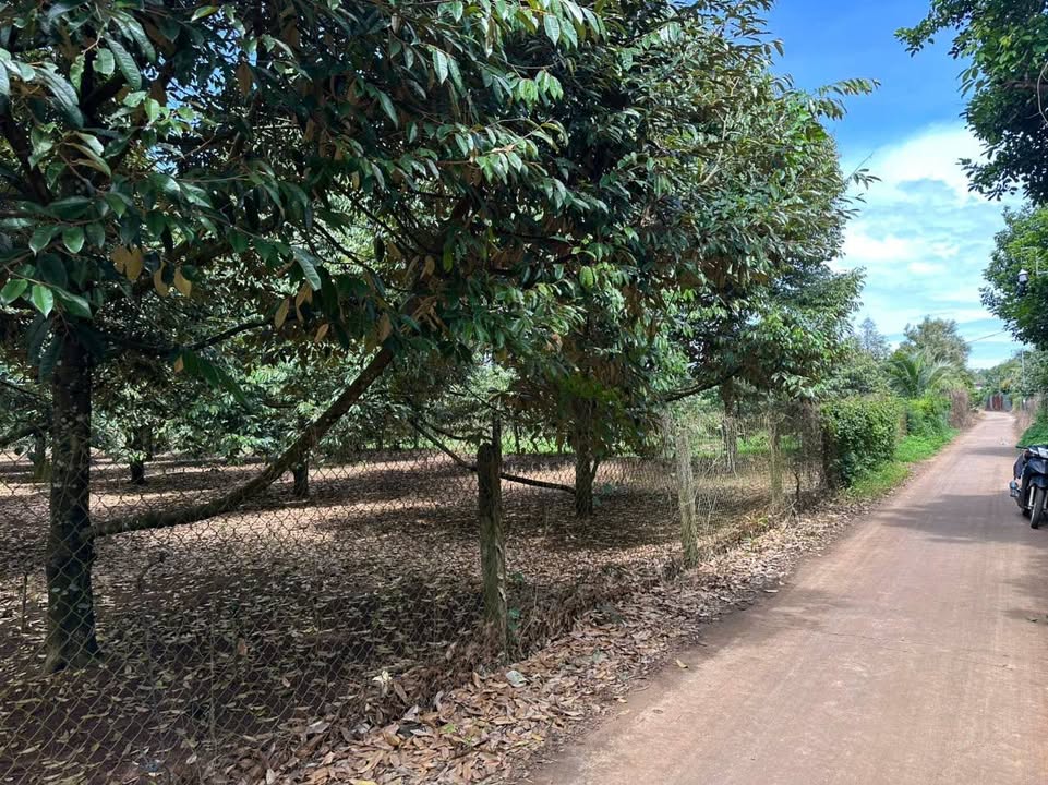 Đất nền Xuân Lập Long Khánh 125m² giá 820 triệu - Sổ đỏ chính chủ, đường xe hơi vào tận nơi!