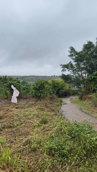 Lô đất biệt thự 2 mặt tiền phường 2 Gò Vấp 735m² giá 2.15 tỷ - Sổ hồng sẵn, thương lượng tốt!