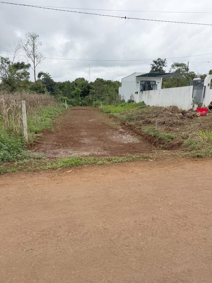 Đất nền mặt tiền đường Y Thuyên Đạt Hiếu - 274.55m² chỉ 550 triệu - Cơ hội đầu tư không thể bỏ qua!