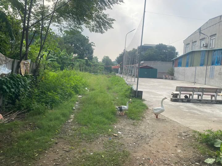 Lô đất khu Hồng Hà 2, Phường Thanh Miếu, 72m² giá 1 tỷ - Đầu tư sinh lời ngay!