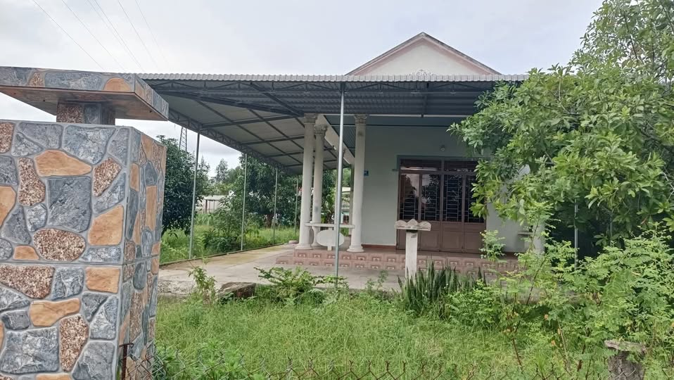 Nhà vườn 435.5m² tại Đức Phổ, Quảng Ngãi - Thích hợp mở Coffee