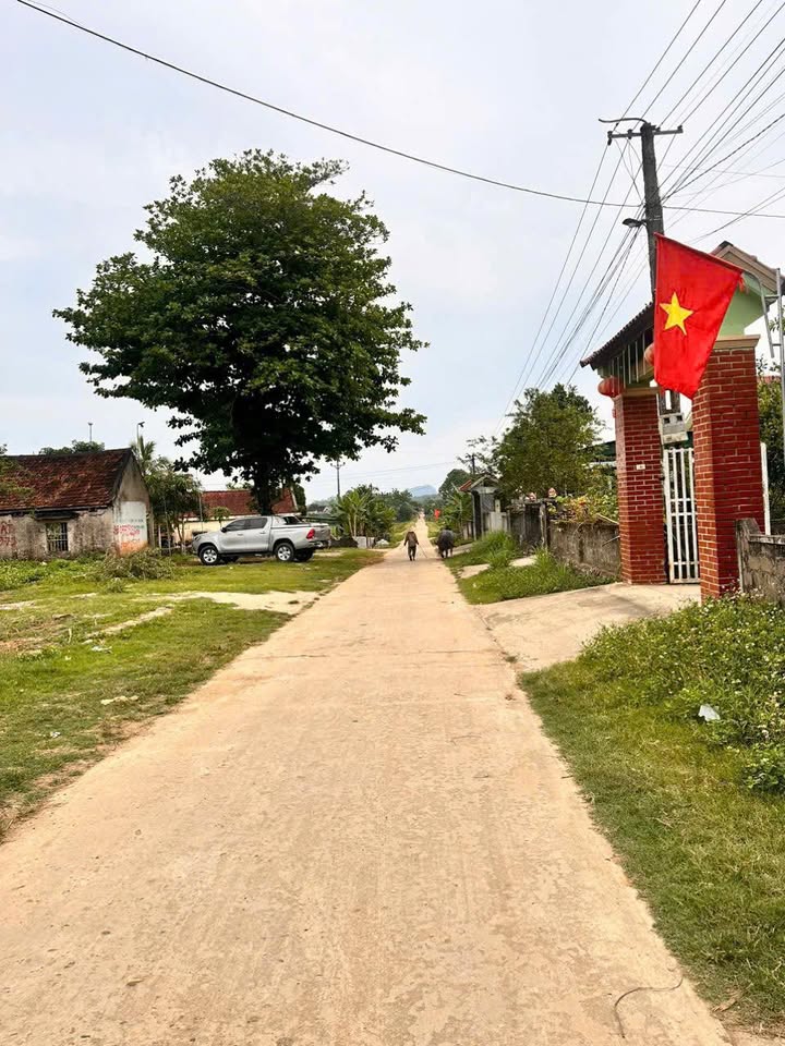 Đất liền kề Tân Xuân, Tân Kỳ 416m² - Đầu tư sinh lời ngay!