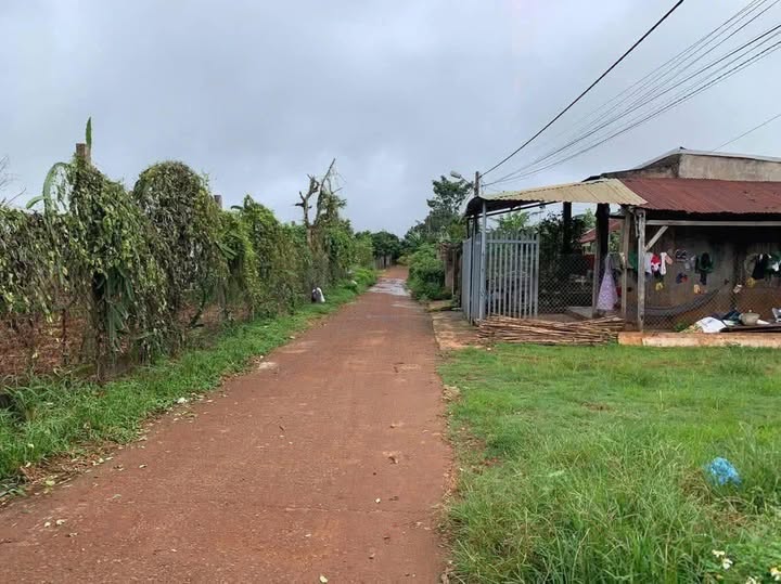 Đất nền Ea Ral, huyện Ea H'leo 200m² giá 380 triệu - Dân cư đông đúc, tiện ích đầy đủ!