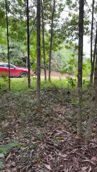 Đất nền 1.768m² tại xã Cao Trĩ, huyện Ba Bể - Cơ hội đầu tư du lịch hấp dẫn!