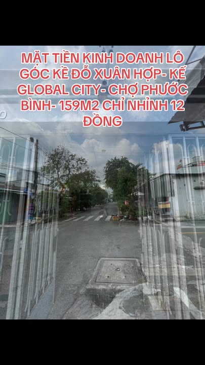 Nhà phố mặt tiền kinh doanh Đỗ Xuân Hợp 159m² giá 12 tỷ - Lô góc đắc địa!