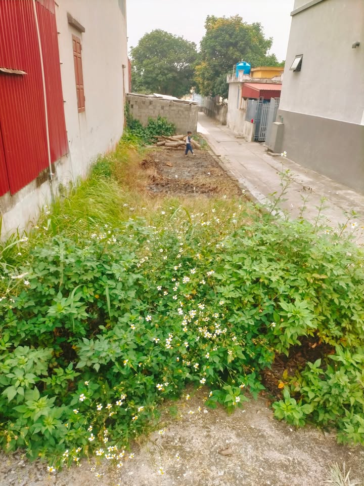 Đất nền góc Xuân Phú, 106m², giá thỏa thuận - Đầu tư sinh lời ngay!