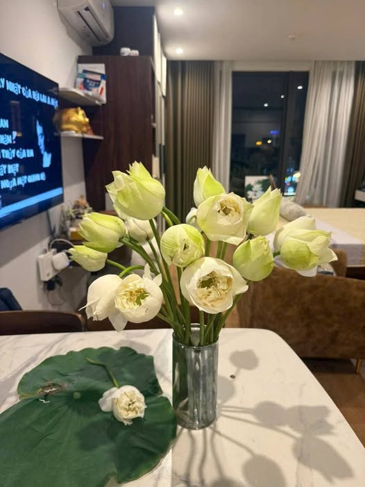 Căn hộ chung cư Bim Hạ Long 41m² giá 1.4 tỷ - Sẵn sàng vào ở ngay!