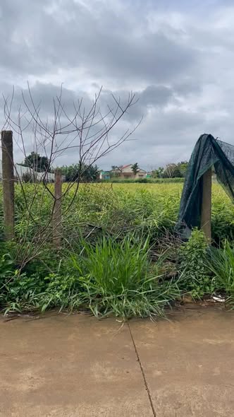 Đất nền Hiệp Thạnh, Đức Trọng, 180m² giá 2.15 tỷ - Vị trí đắc địa ngay mặt đường