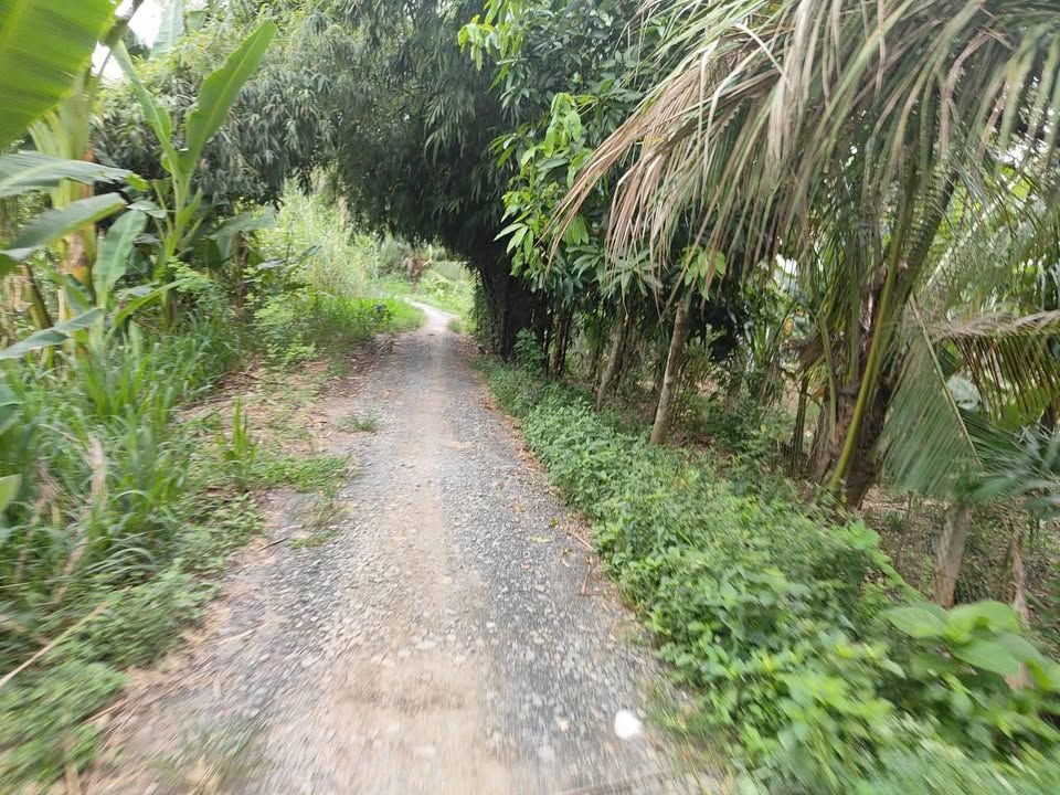 Đất ruộng 595m² tại Long Phú, Tam Bình - Giá chỉ từ 2xx triệu - Bán gấp!