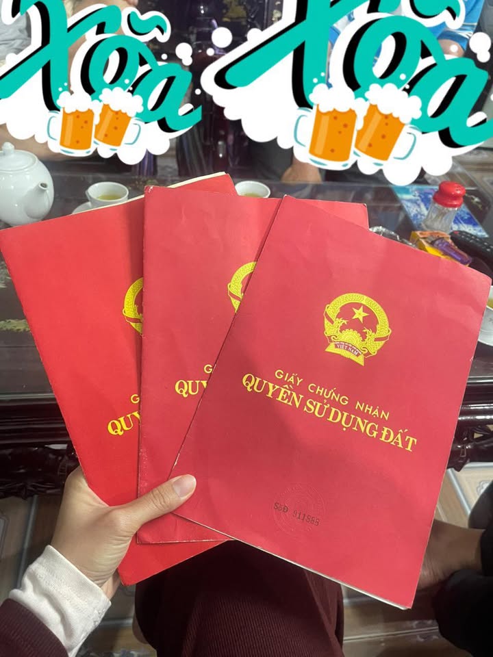 Đất nền Hướng Đạo, Tam Dương 140m² giá 520 triệu - Cơ hội đầu tư tuyệt vời!