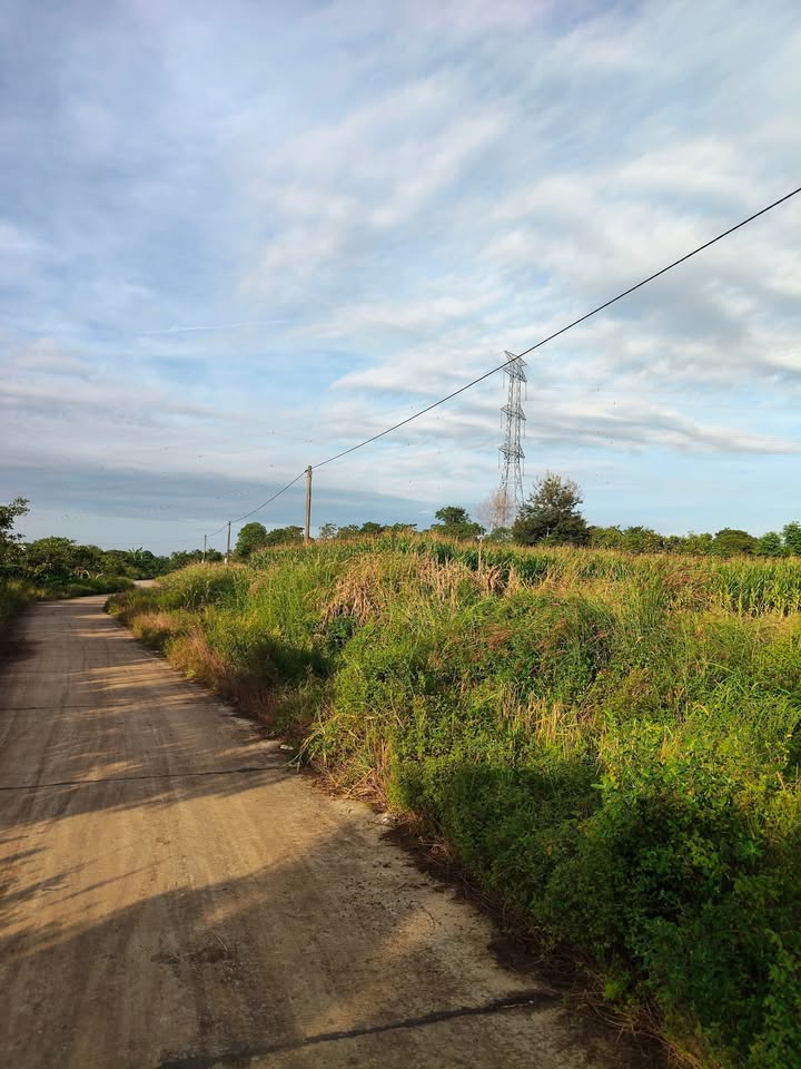 Đất 7 sào mặt đường bê tông xã Ea M'Droh - Giá chỉ 100 triệu/sào!