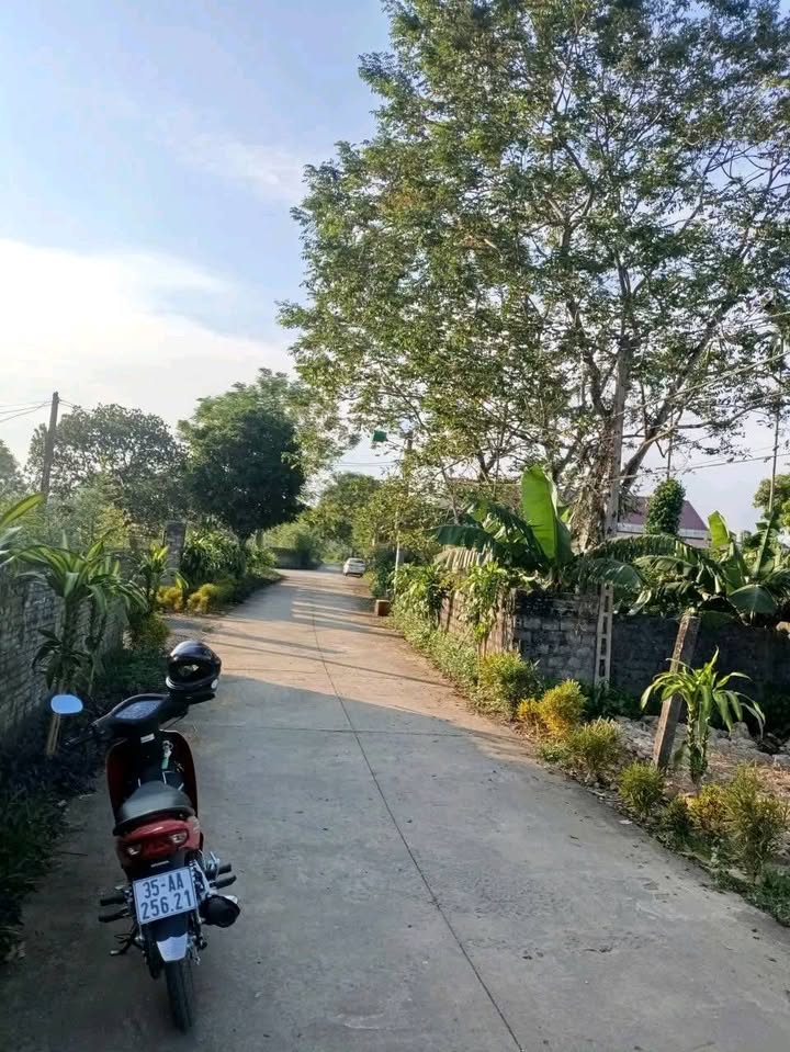 Đất thổ cư Yên Sơn, Tam Điệp 140m² giá thỏa thuận - Cơ hội vàng đầu tư!