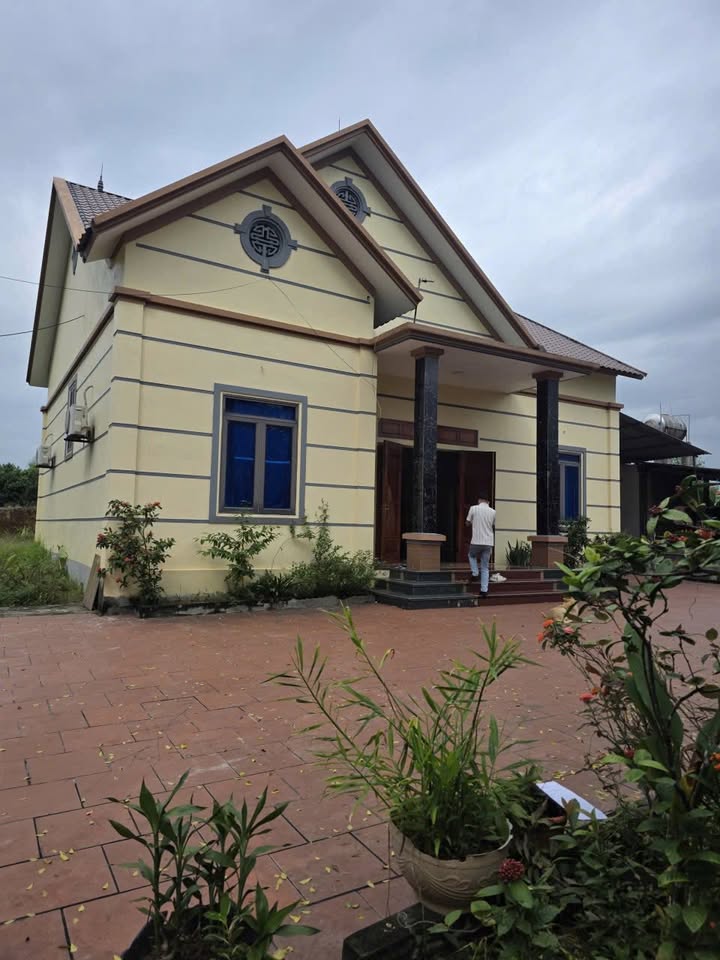 Đất Farm Hợp Châu Tam Đảo 1800m² giá 1 tỷ - Cơ hội đầu tư hấp dẫn!