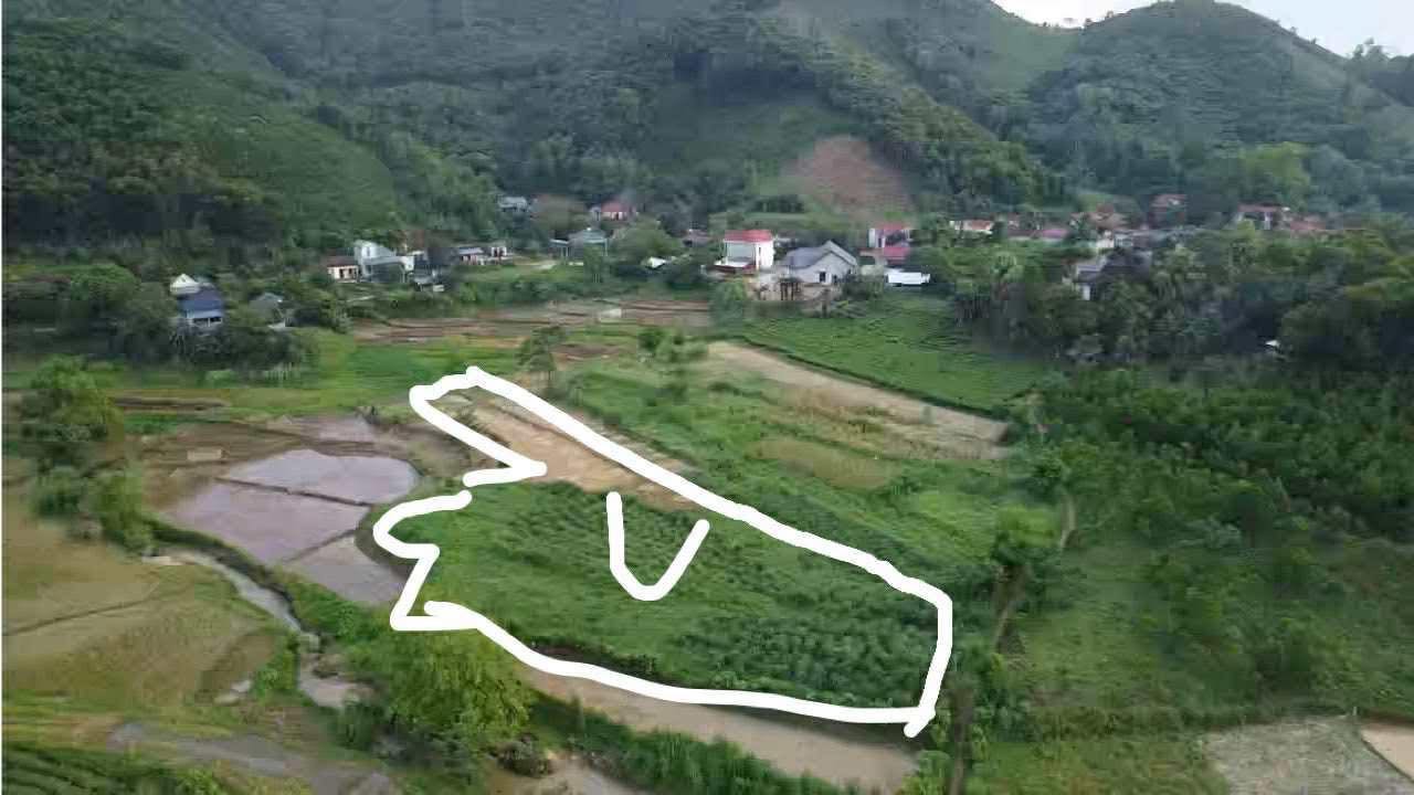 Đất khai hoang 3000m² tại Võ Miếu, Thanh Sơn - Giá chỉ 3 tỷ VND!