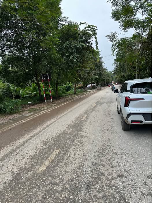 Đất nền mặt đường Viên Châu, An Tường 245m² - Giá thỏa thuận hấp dẫn!