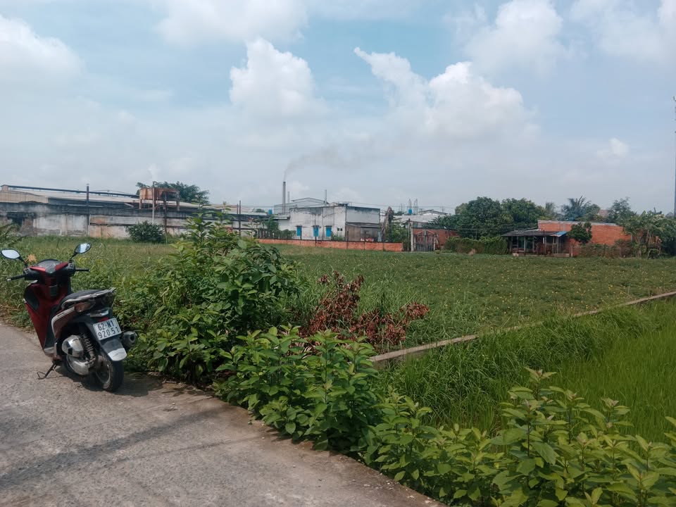 Đất nền 11 lô Phước Toàn, Long Hiệp, 230m² chỉ 2.4 tỷ - Cơ hội đầu tư tuyệt vời!