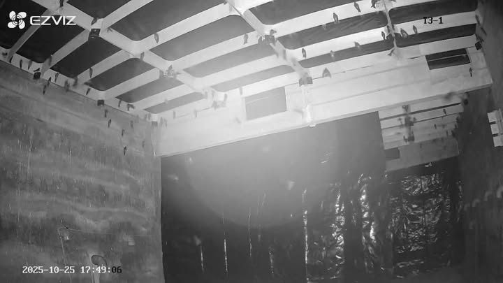 Nhà yến 3 tầng tại Bình Hòa Tây, Mộc Hóa 480m² - Đầu tư sinh lời ngay!