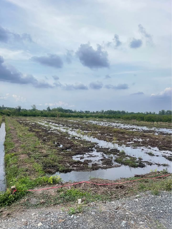 Đất vườn ấp 2 Thạnh Lợi 1000m² giá 890 triệu - Đầu tư sinh lời!