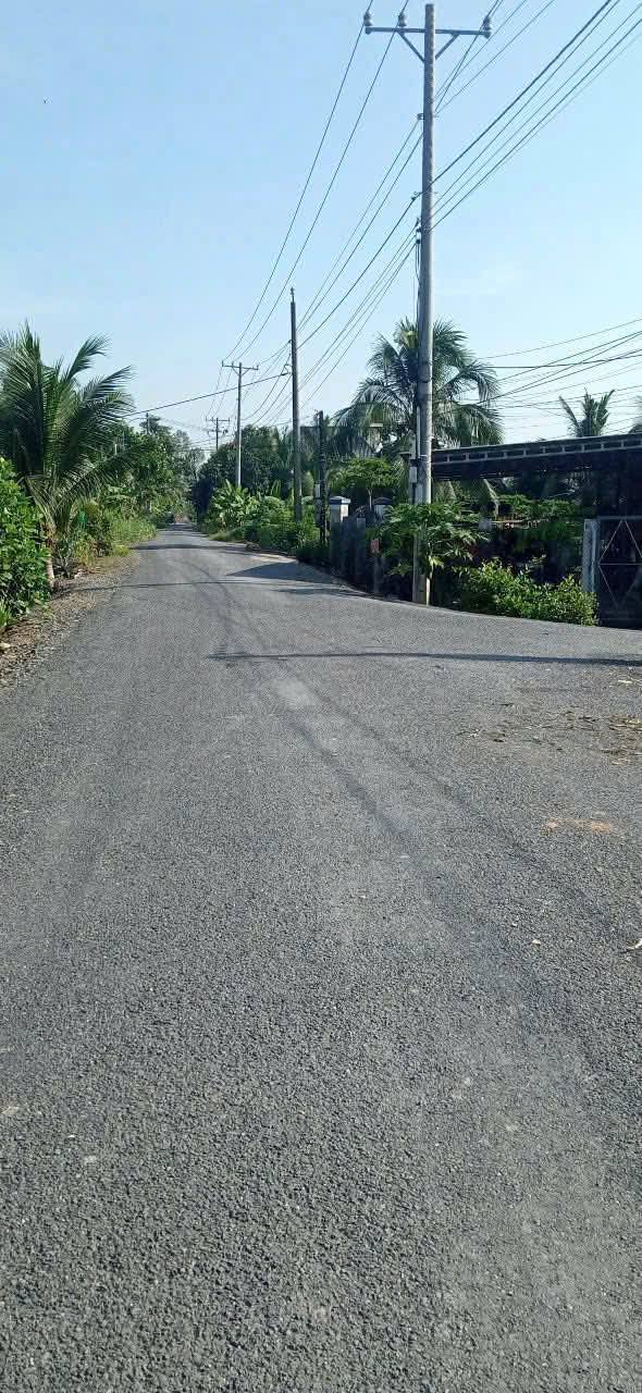 Đất thổ cư ấp 5, xã Thạnh Lợi, Bến Lức 3600m² - Đầu tư sinh lời tiềm năng!