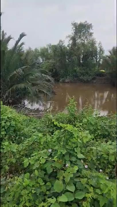 Đất nền An Thạnh Bến Lức 1500m² giá 2.1 tỷ - Mặt tiền sông thoáng đãng!