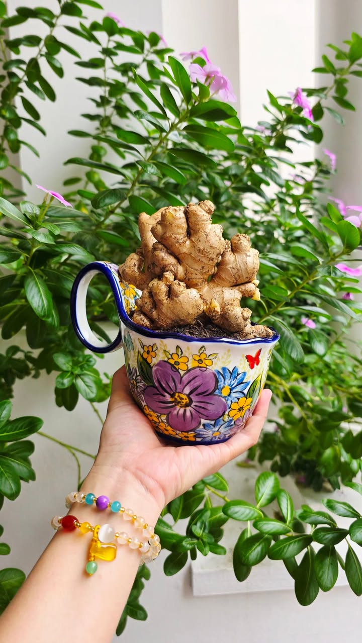 Đất tái định cư Mỹ Thành 100m² giá 2.2 tỷ - Đường lớn vỉa hè rộng