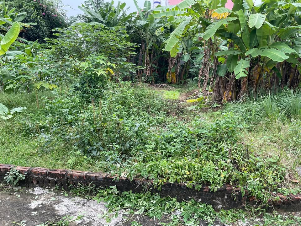 Đất vàng Lương Châu, Sóc Sơn 106m² - Giá thỏa thuận chính chủ