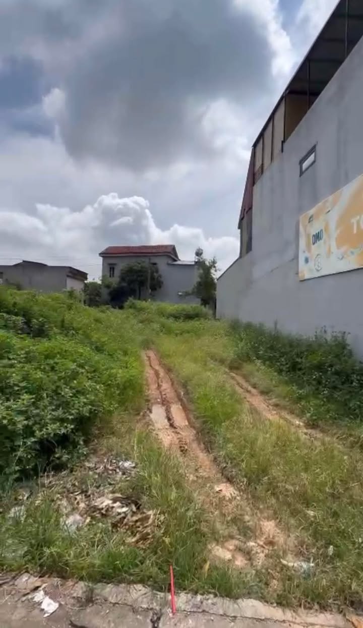 Đất kinh doanh tại Minh Phú, Sóc Sơn 148m² giá 5.848 tỷ - Đầu tư sinh lời ngay!