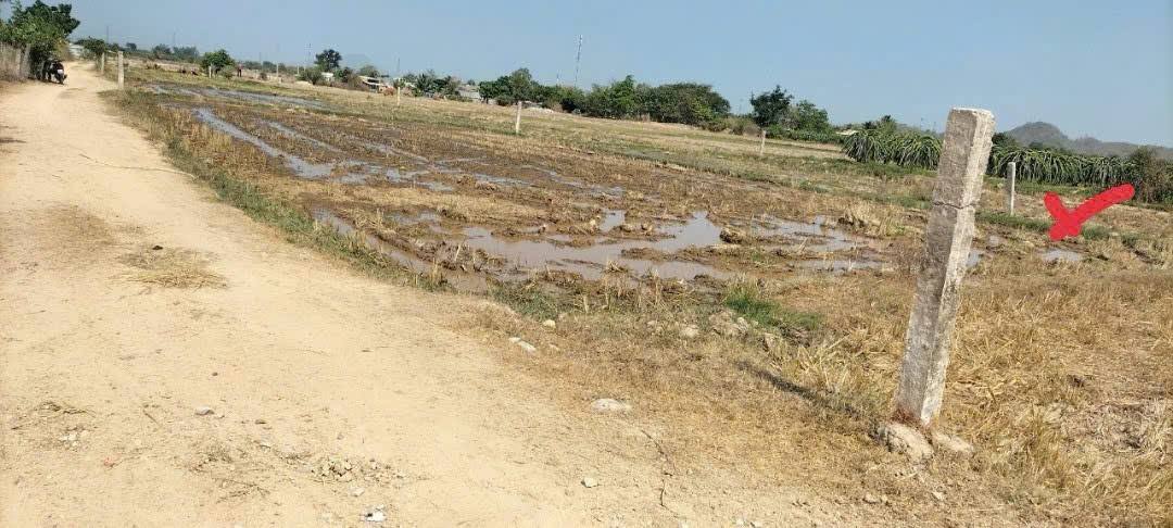 Đất nền Thuận Minh Hàm Thuận Bắc 325m² giá chỉ 79 triệu - Đầu tư sinh lời ngay!