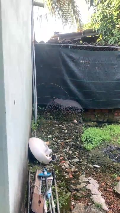 Nhà vườn Tân An 252m² giá 2.7 tỷ - Sẵn sàng dọn vào ở ngay!