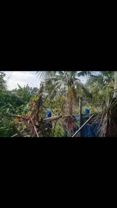 Đất nền Hẻm Quảng Bạch, TP Bến Tre 1200m² giá 19.2 tỷ - Cơ hội đầu tư hấp dẫn!