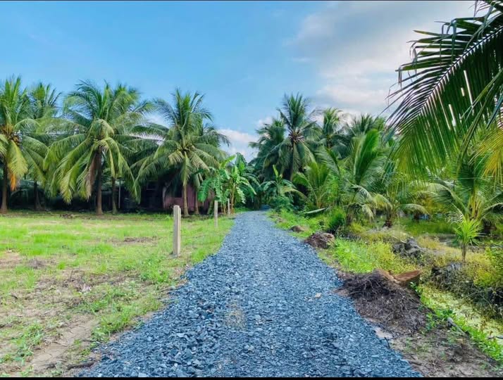 Đất nền Ấp Hoà Thạnh, Chợ Gạo 324m² giá 368 triệu - Đầu tư sinh lời ngay!