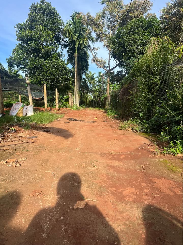 Đất nền Tân Lập Buôn Ma Thuột 150m² giá thỏa thuận - Vị trí đắc địa, dân cư ổn định!